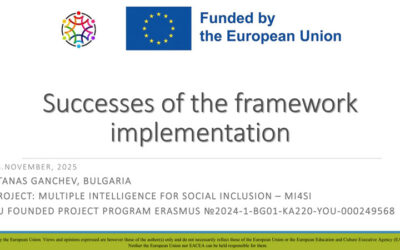 Successes of the framework implementation